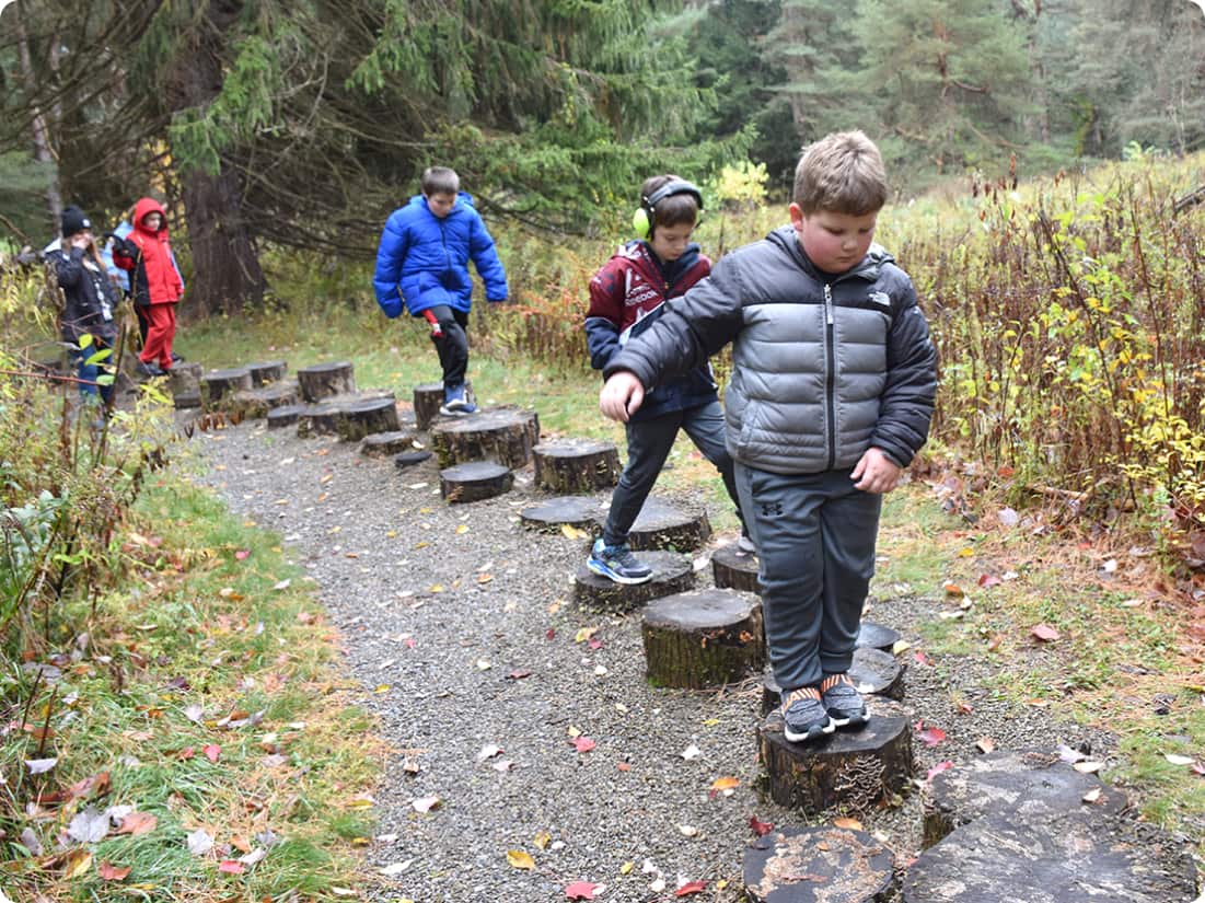 Stepping stones